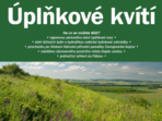 Úplňkové kvítí Úplňkové kvítí