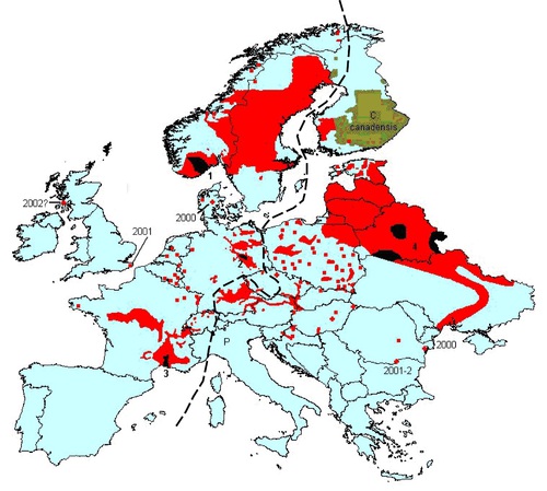 Mapa 2: Rozšíření rodu Castor v Evropě (rok 2003). Červeně je znázorněn výskyt bobra evropského na přelomu 20. a 21. století. Osídlení je buď kontinuální (Skandinávie, Pobaltí, Ukrajina a Bělorusko) nebo jsou patrné jednotlivé izolované populace (zejména Francie, Německo, Polsko, ČR, Slovensko, Rakousko a Maďarsko). Černě jsou vykresleny nejstarší a nikdy nevyhubené historické pozůstatky populace bobra evropského v Evropě. Čísla vyjadřují čtyři základní evropská refugia, která se po druhé světové válce stala základem pro panevropský reintrodukční program: 1. C. f. fiber, 2. C. f. albicus, 3. C. f. galliae, 4. C. f. vistulanus. Hnědě je znázorněno rozšíření bobra kanadského C. canadensis. Rozhraní mezi západní a východní formou bobra evropského je znázorněn čárkovanou čarou.Zdroj: upraveno, HALLEY & ROSELL, 2003; DURKA et al., 2005; www.bibermanagement.de.