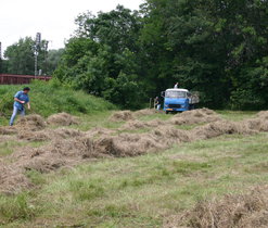 Management černovírského slatiniště. Zdroj: fotoarchiv Sagittaria.