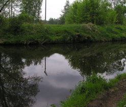 PCHP Rameno u Stříbrného rybníka. Autor snímku: R. Prausová