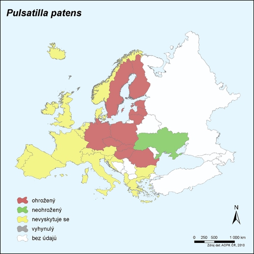 Mapa rozšíření a ohrožení koniklece otevřeného v evropských zemích.