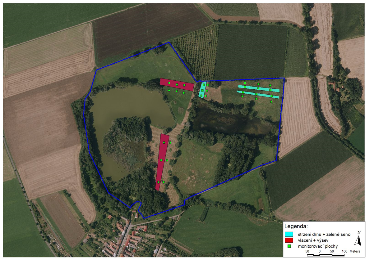 Obr. 1: Mapa s vyznačením zásahů v rámci studie zaměřenou na vhodný způsob obnovy luk v NPP Hrdibořické rybníky (poloha monitorovacích ploch je pouze orientační)