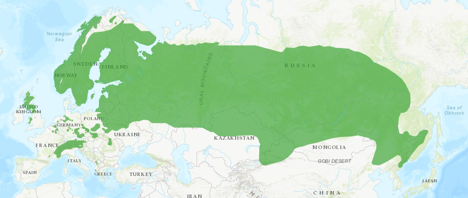Mapa rozšíření tetřívka evropského.