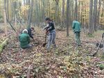 horecek_nahorkly_Kopicacky_HelenaNeuwirthova